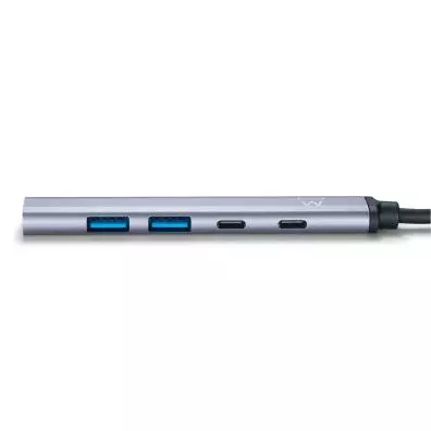 Hub Ewent EW1149 GRIS